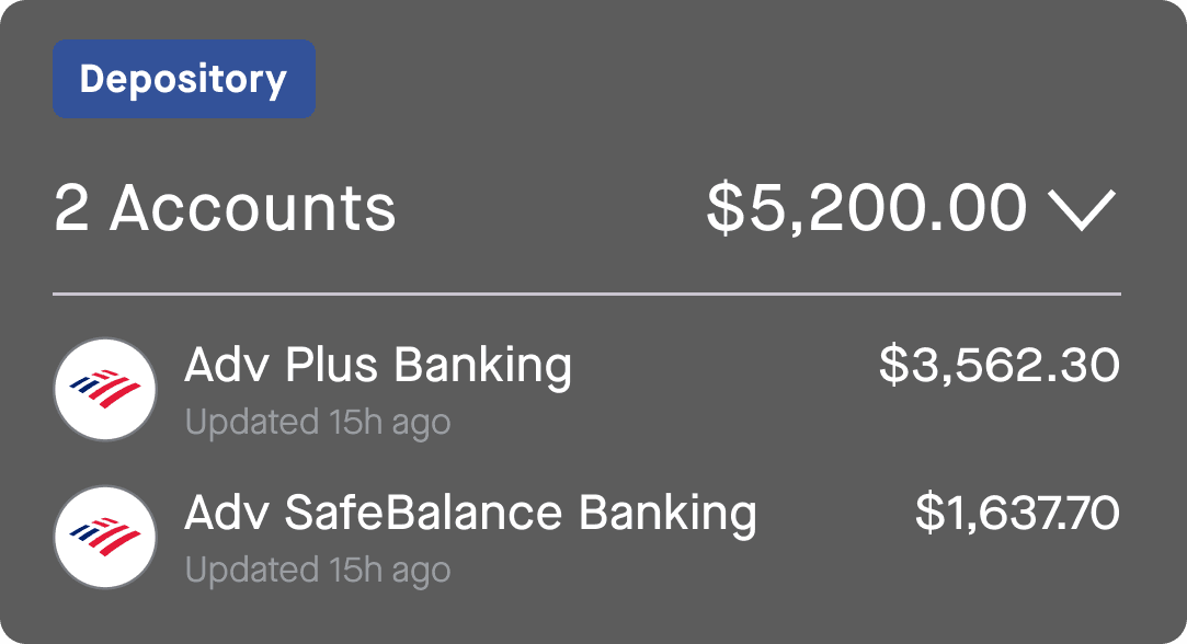 Net Worth depository section example