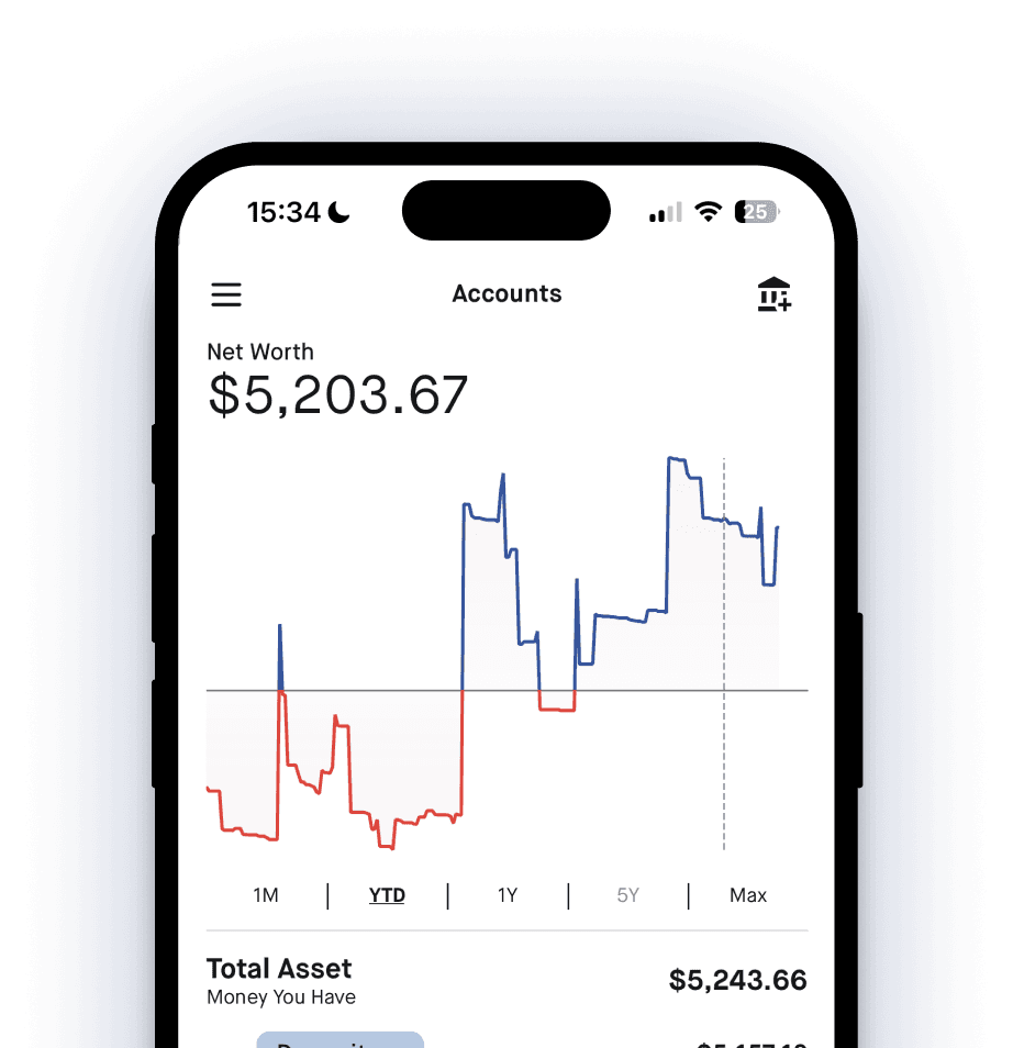 Net Worth interface example